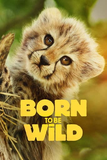 Born to Be Wild poster